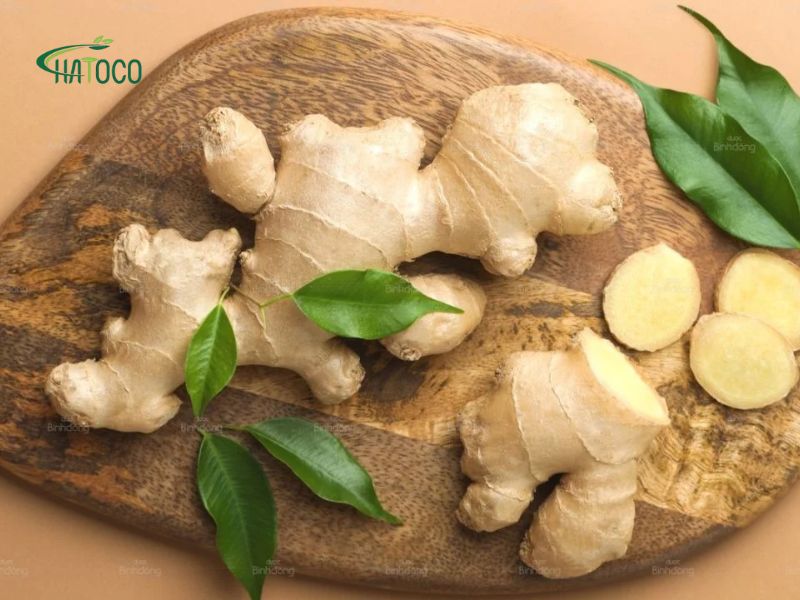 chuom-gung-tri-dau-moi-vai-gay-1