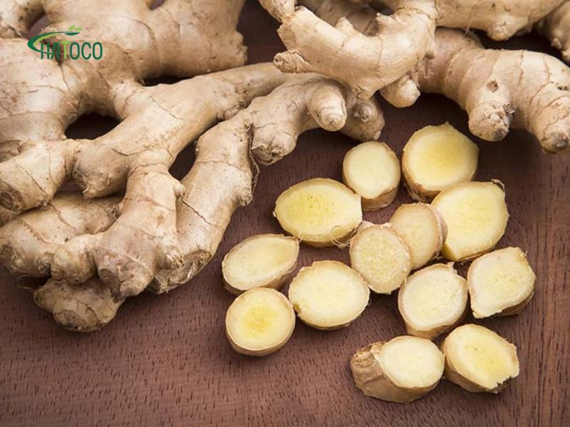 chuom-gung-tri-dau-moi-vai-gay-2