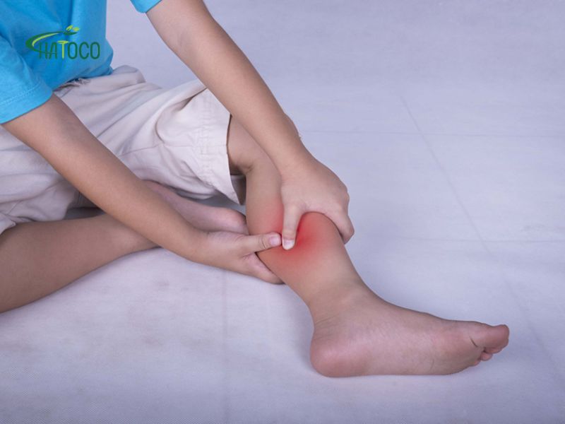 dau-moi-2-bap-chan-1