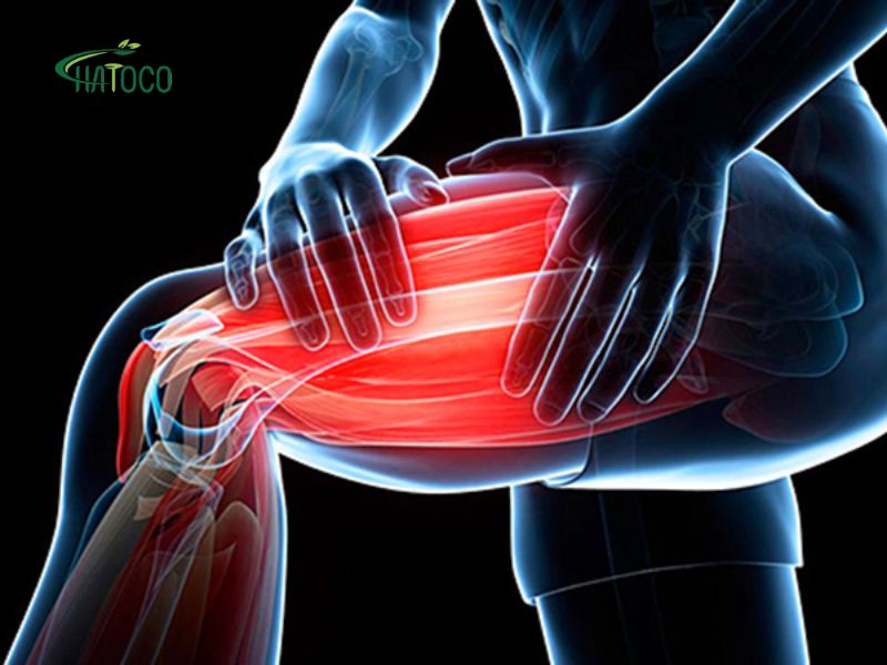 dau-moi-co-bap-chan-1