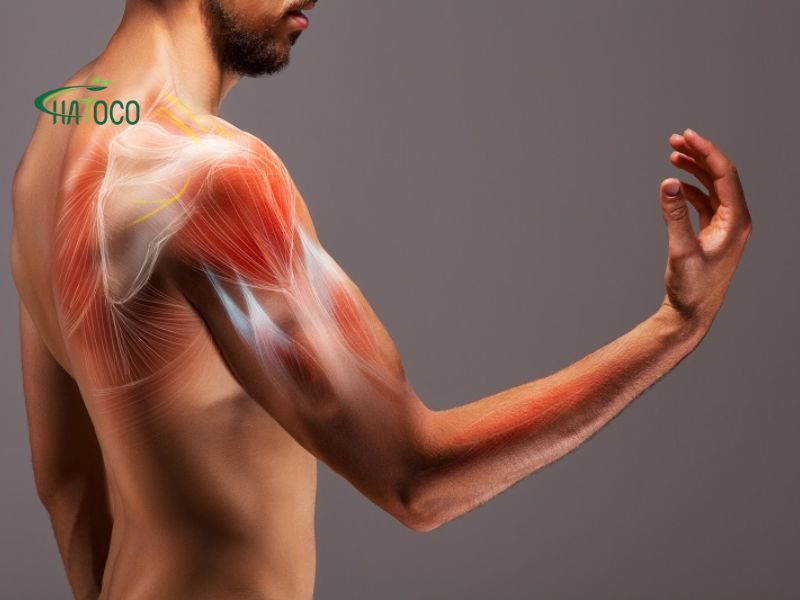 dau-moi-co-bap-tay-3