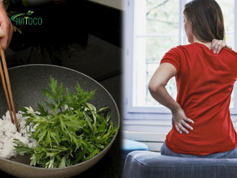 ngai-cuu-giam-dau-lung-1