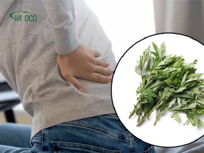 ngai-cuu-giam-dau-lung-2