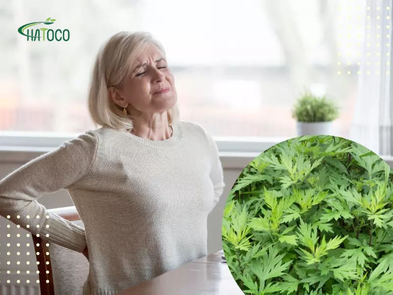 ngai-cuu-giam-dau-lung-3