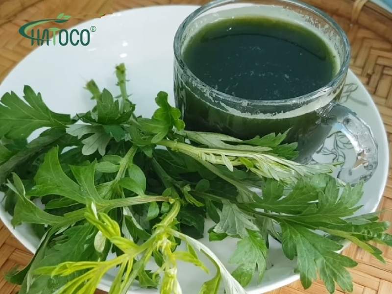 chuom-ngai-cuu-co-tac-dung-gi-cach-dung-dung-de-dat-hieu-qua