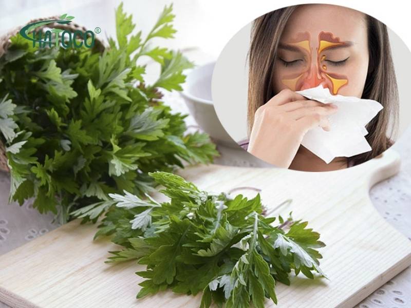 chuom-ngai-cuu-co-tac-dung-gi